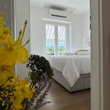 Apartmán B&s Center
